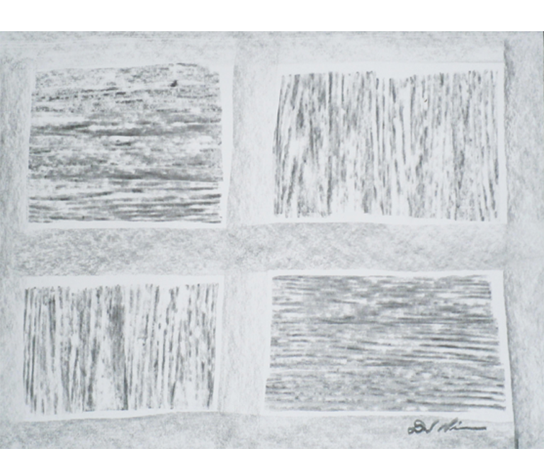 Dirk Nienemann, Künstler Holzkohlezeichnungen, Lehrte Hannover, Drucke Holzkohlezeichnungen,Abstrakte, Landschaft, Stillleben